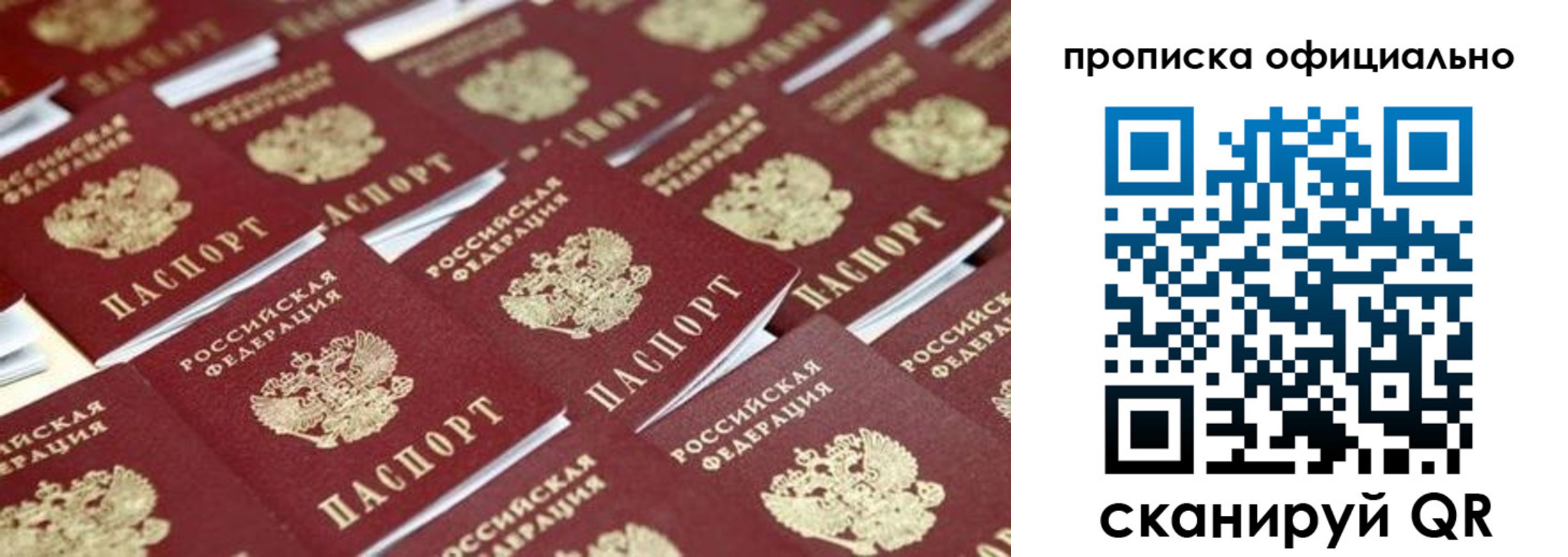 прописка гарантия в Королёве